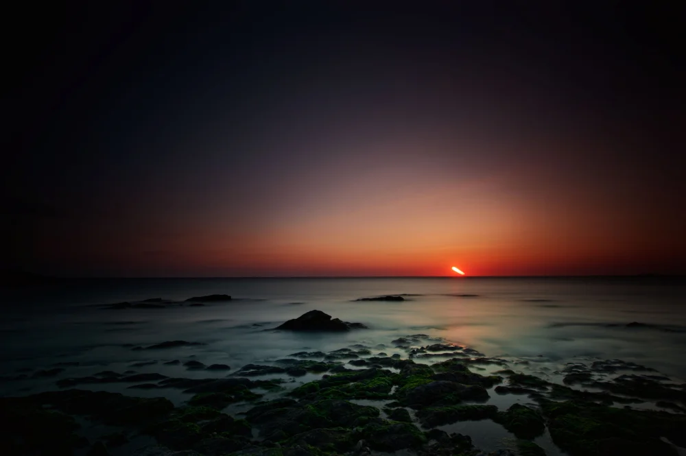 PAG_1694_Nik.webp