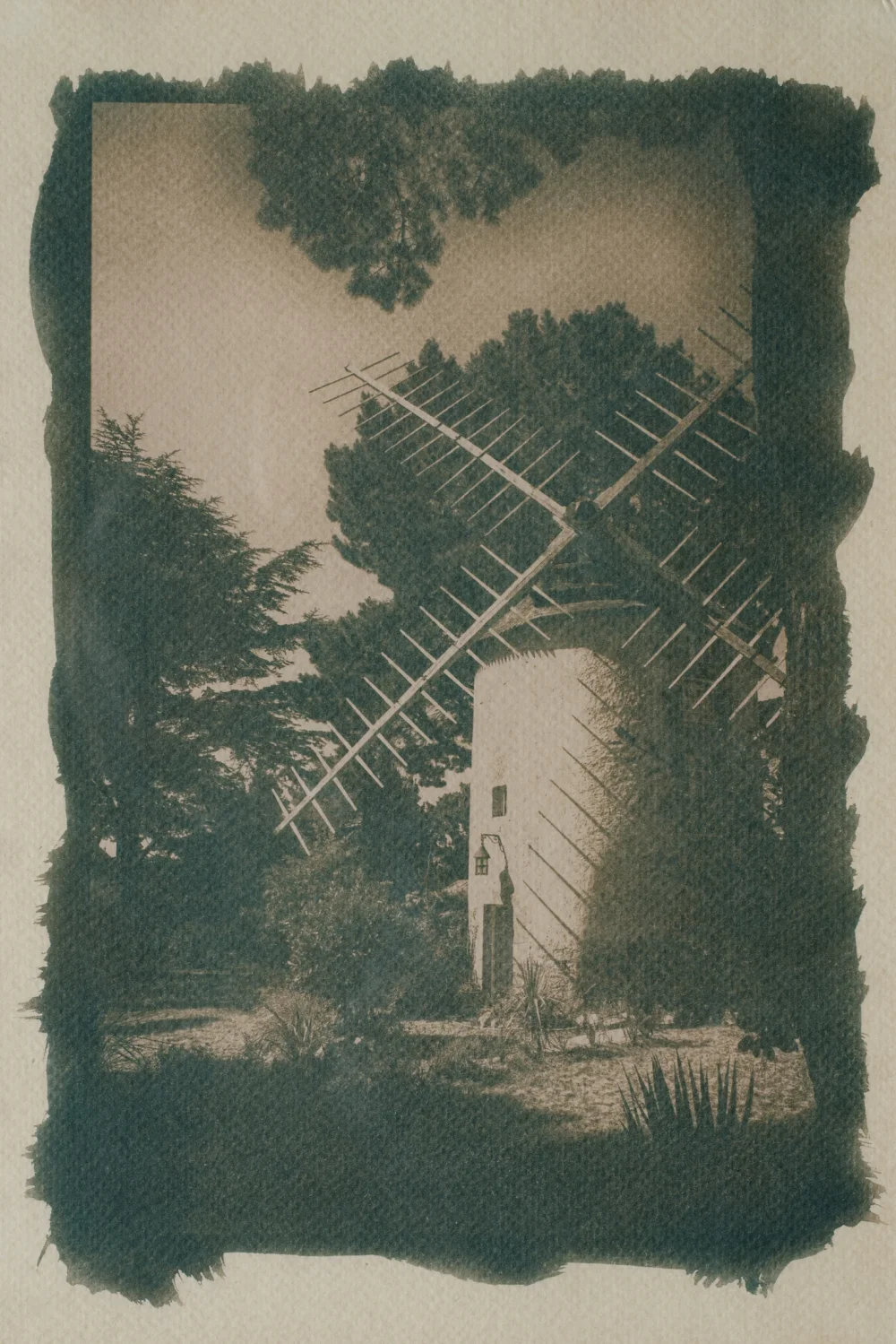 PAG_4494_DxO_01.webp
